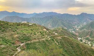 Asir National Park