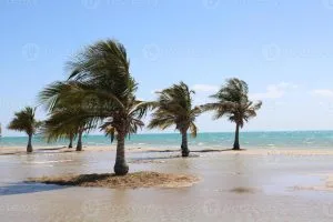 Royal Commission Beach