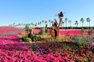 Yanbu Flower Festival